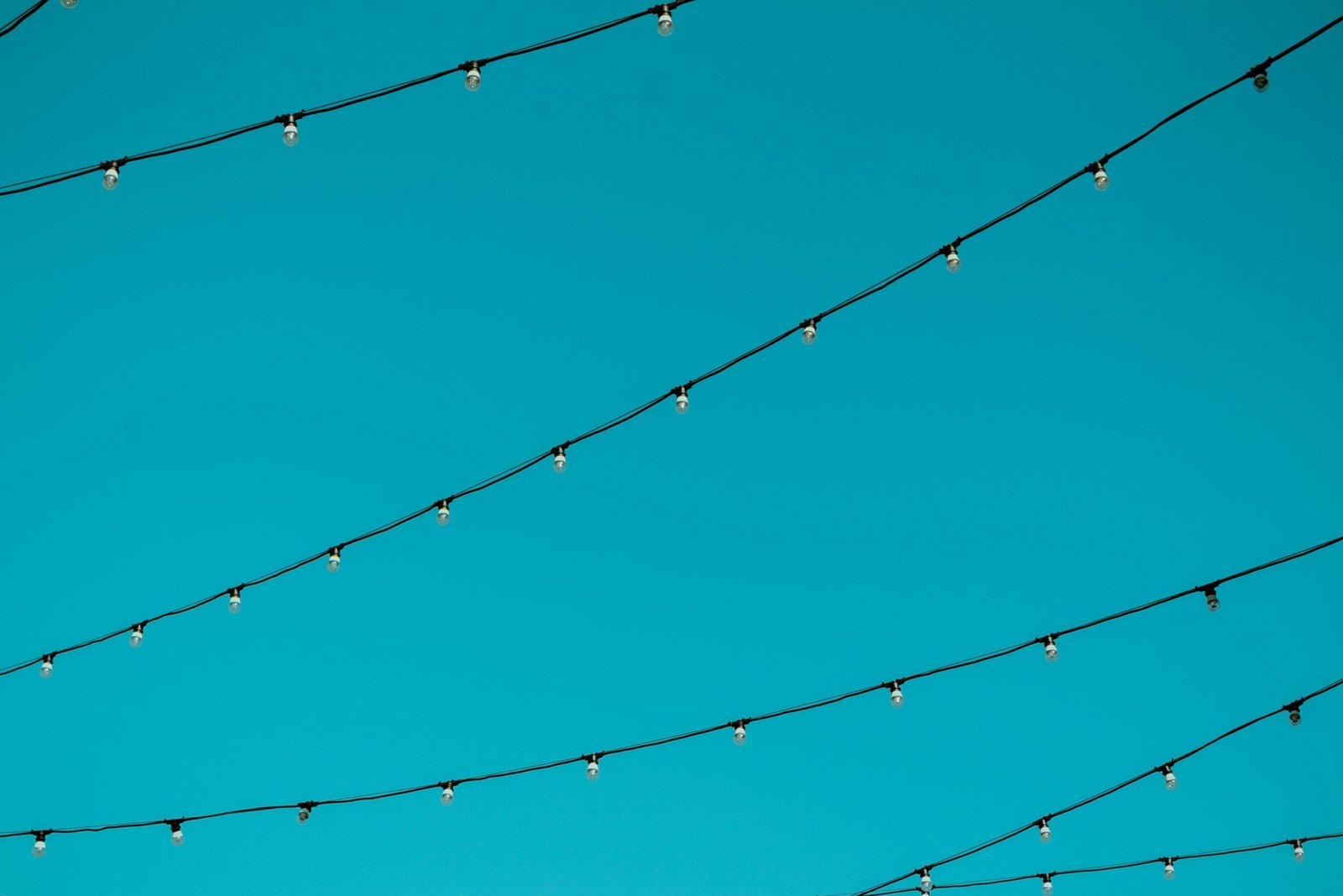 worm's eye view photography of black string lights